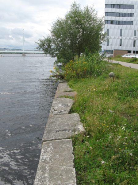 Västra kajen