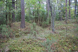 Gravfältet