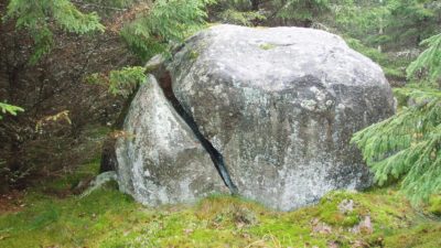 En stor sten bland mossa och träd