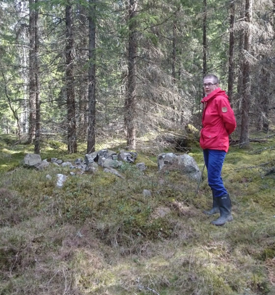 Moa vid ett röjningsrösen