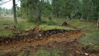 En grävs gång. I gången finns det lager av jord och stenar.