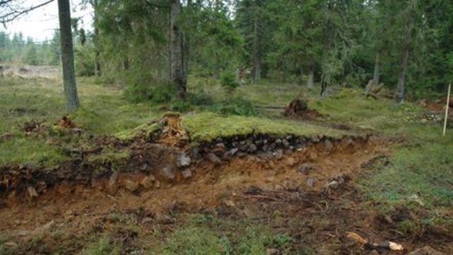 En grävs gång. I gången finns det lager av jord och stenar.