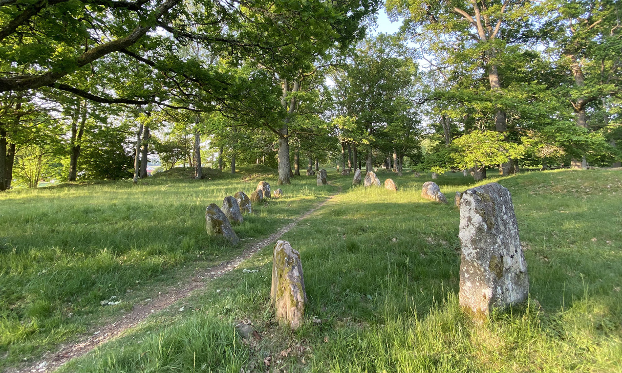 En av skeppssättningarna på gravfältet vid Mosslelund. I bakgrunden anas några av gravhögarna.