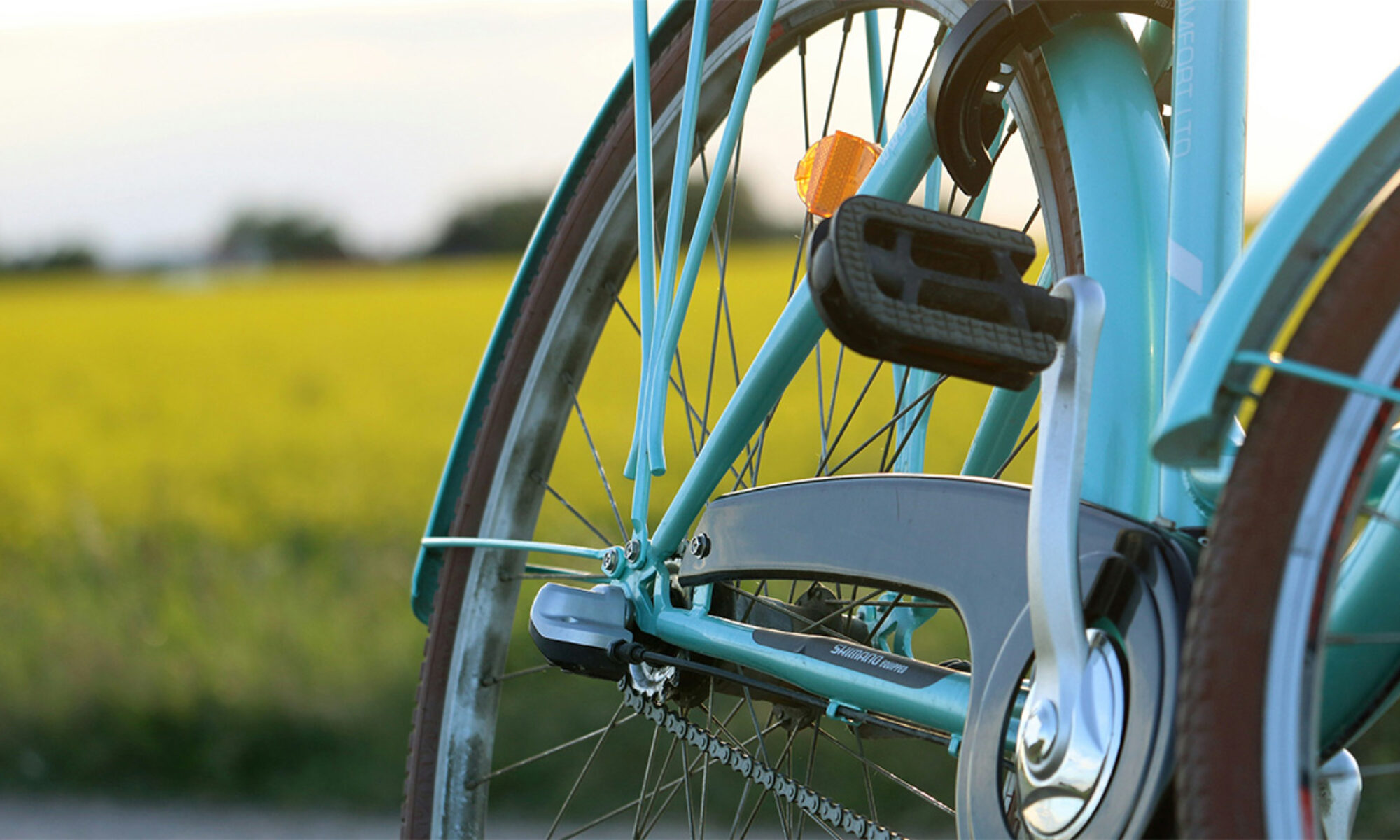 Cykel i närbild framför ett gult rapsfält